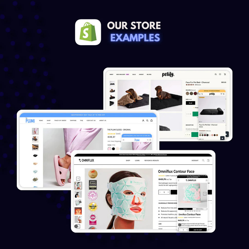 Prebuilt Dropshipping Website